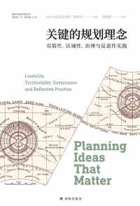 关键的规划理念：宜居性、区域性、治理与反思性实践