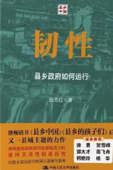 韧性：县乡政府如何运行.jpg